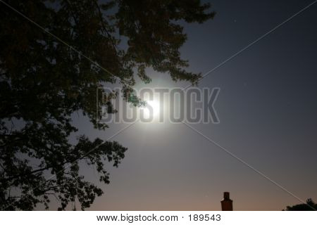 Midnightsky