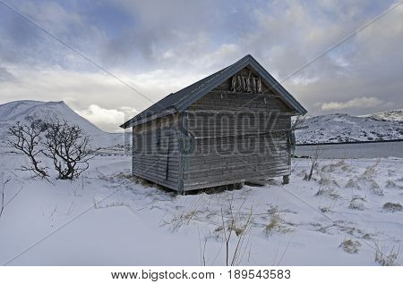 Wooden house Norway in snow with dead plant in front