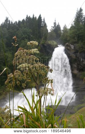 Steindalsfossen Waterfall In A Rainy Day