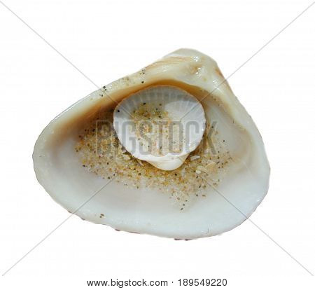 Shell With Small Shell Within