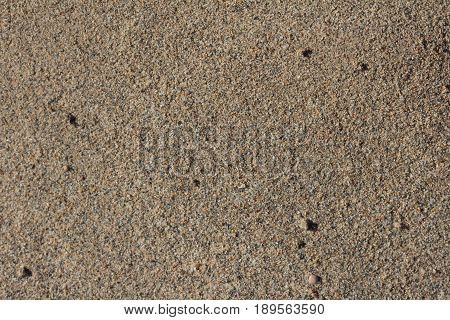 background of soil and sand . A photo
