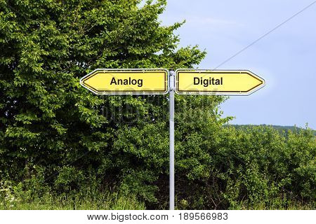 Yellow road signs pointing in opposite directions with text Analog Digital green bushes and a blue sky in the background symbol concept for future-oriented technology