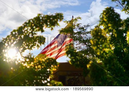 American  flag in the trees backlit by sun