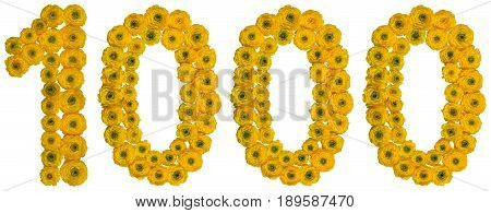 Arabic Numeral 1000, One Thousand, From Yellow Flowers Of Buttercup, Isolated On White Background