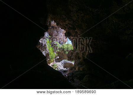 Coastal landscape through dark limestones Avaiki Cave leading to rugged coral ledge in Niue.