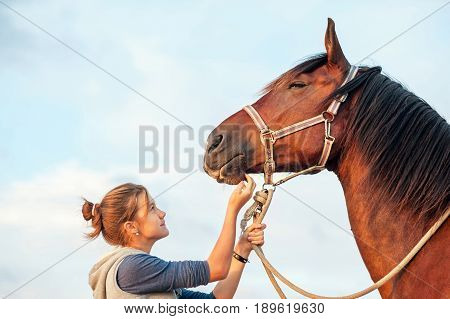 Young cheerful teenage girl stroking big chestnut horse's nose. Vibrant multicolored summertime outdoors horizontal image with filter