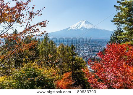 Mountain Fuji and maple in Autumn season