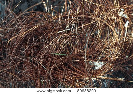 Metal Carcass Of The Burnt Automobile Rubber Tire