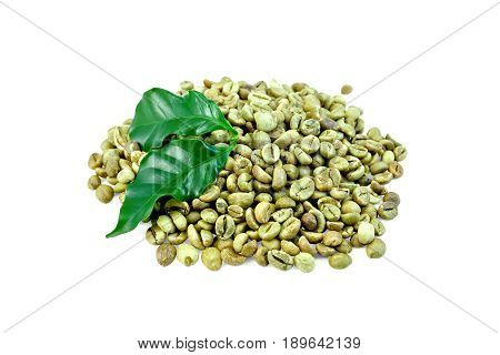 Coffee Green Grain With Leaf