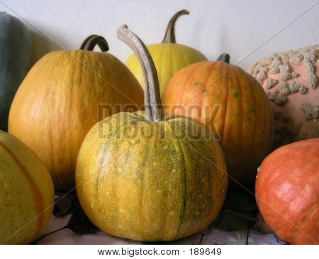 Citrouilles