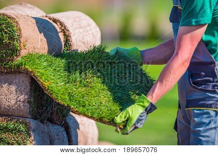 Natural Grass Turf Check Before Installation in a Garden.