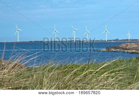 Seaside wind power turbines blue ocean and green grass on a heath landscape in Halland Sweden.