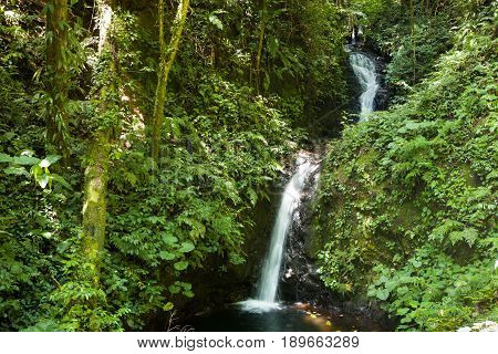 Small waterfall in monteverde cloud forest reserve Costa Rica