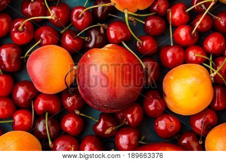 Ripe glossy sweet cherries with water drops nectarines apricots scattered on dark blue background seamless pattern template vibrant colors top view