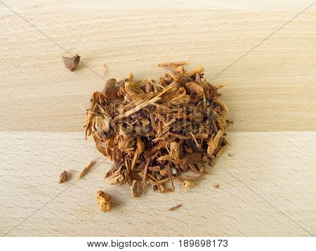 Rhatany root, Ratanhiae radix, for herbal medice