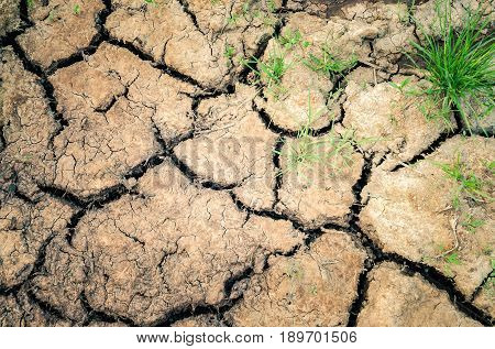 Natural ground background. Cracked and dried earth with grass.