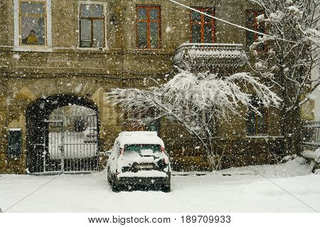 The yard and the car in the snow. The man in the window