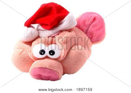 Toypig