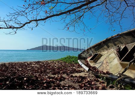 A wrecked and abandoned boat stranded at the sea shore.  Tree branches above boat with blue sea and blue sky