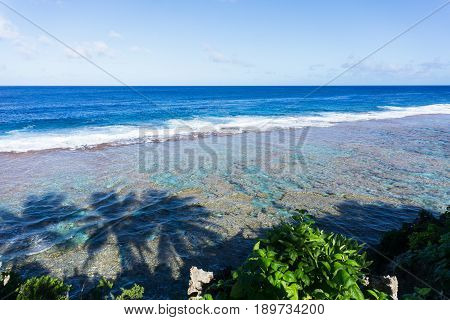 Scene across ocean todistant horizon from land over patterns of coral reef and shadows of three palm trees on water below on Tamakautoga coral beach