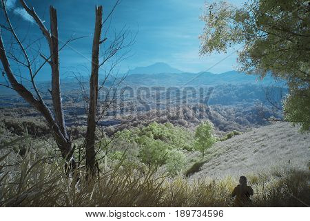 An infrared photography view of silhouette of a man looking over the valley from the top of hill.  Dried trees and branches of trees framing a Mount Kinabalu in the background.  White and yellowish leaves of trees and grass.