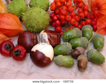 Otoño
