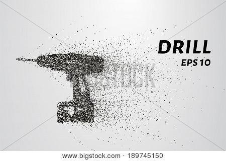 Drill Of The Particles. The Drill Consists Of Small Circles And Dots. Vector Illustration.