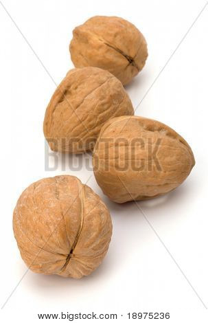Noce circasso isolata on white background