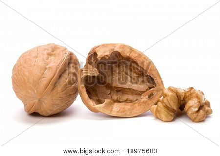 Noce circasso isolata on white background