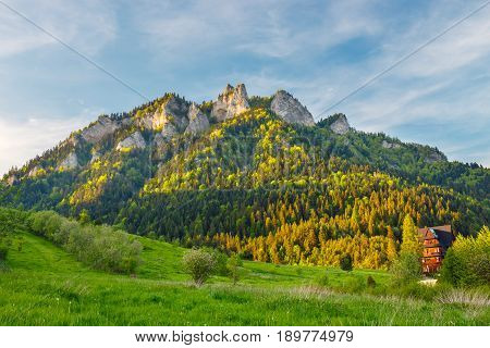 Spring In The Pieniny With Three Crowns Mountain In The Background