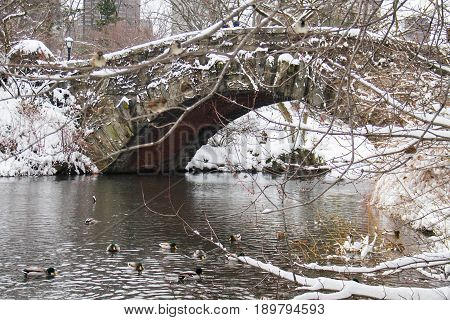 Gapstow bridge over the lake with snow and ducks at Central Park