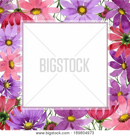 Wildflower kosmeya flower frame in a watercolor style isolated. Full name of the plant: kosmeya. Aquarelle wild flower for background, texture, wrapper pattern, frame or border.