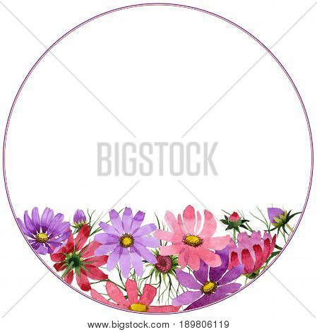 Wildflower kosmeya flower frame in a watercolor style isolated. Full name of the plant: kosmeya. Aquarelle wild flower for background, texture, wrapper pattern, frame or border.