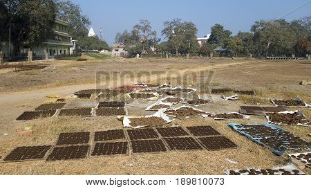 Drying of Ayurvedic semifinished products containing cow manure. One of the stages of the production of a medical company operating in the ancient Ayurvedic medicine in the sacred Indian city of Vrindavan