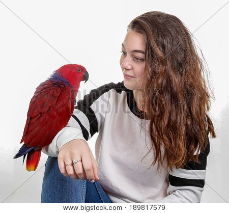 Teenage Girl With Red Parrot
