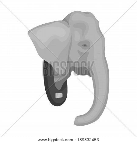Stuffed elephant head.African safari single icon in monochrome style vector symbol stock illustration .