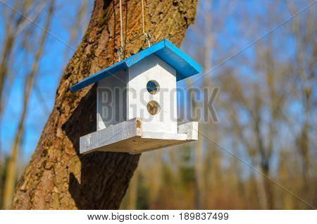 A white bird feeder with a blue roof hanging on a tree in the park. Caring for the brothers is our smaller concept. Spring came