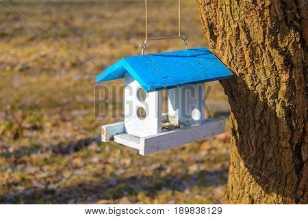 A white bird feeder with a blue roof hanging on a tree in the park. Caring for the brothers is our smaller concept. Spring came