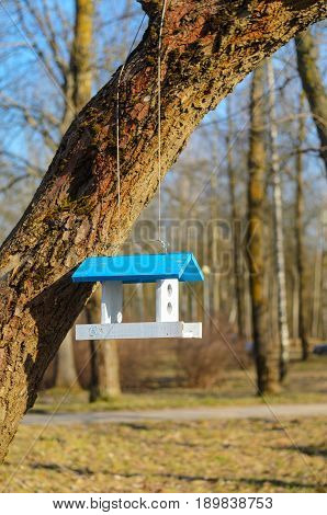 A white bird feeder with a blue roof hanging on a tree in the park. Caring for the brothers is our smaller concept. Spring came