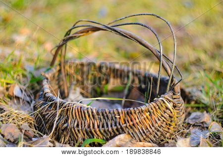 Old wicker basket on a green garden grass. Empty basket in the fallen leaves. Shallow depth of field very soft image.