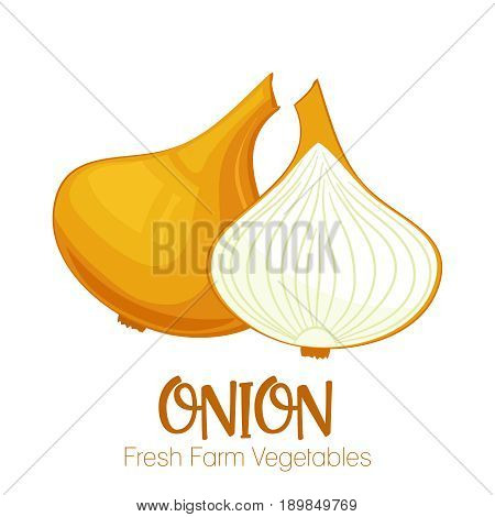 Vector onionisolated on white background.Vegetable illustration for farm market menu. Healthy food design poster. Cartoon style vector