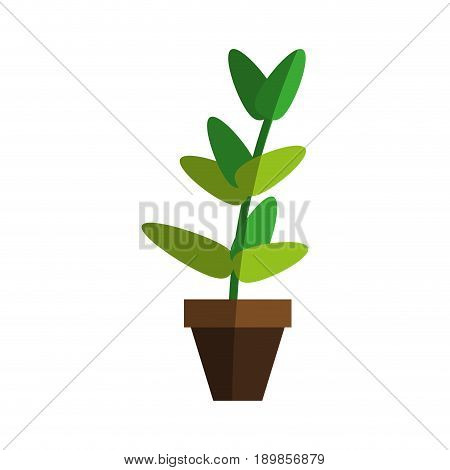 plant in pot icon image vector illustration design
