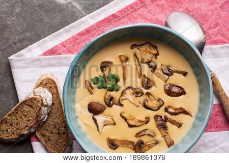 Cream Mushroom Soup in Bowl on Stone Background. Homemade Mushrooms Pottage Puree.