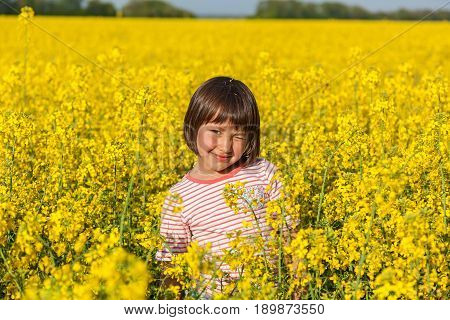 children in the field with the flowering yellow flowers of rape