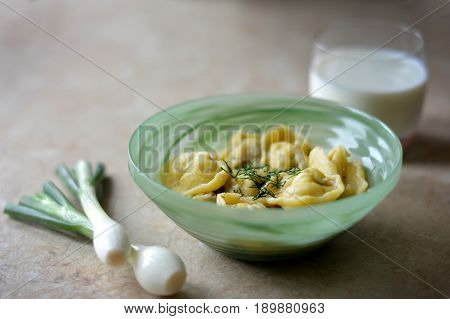 Dumplings in the green bowl on the stone table with greens in details