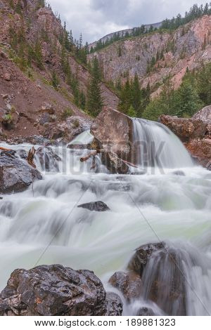 mountain river. fast stream water. Russia Altai