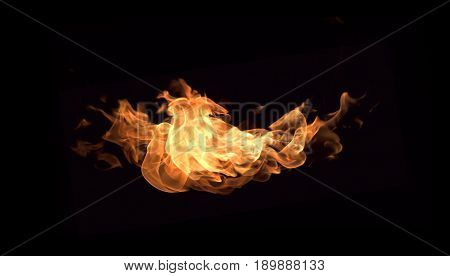 Fire flames on a black background abstract.