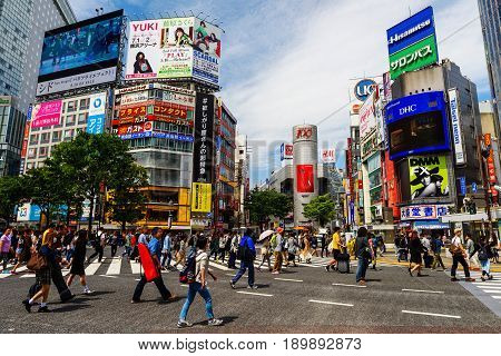 Shibuya Crossing