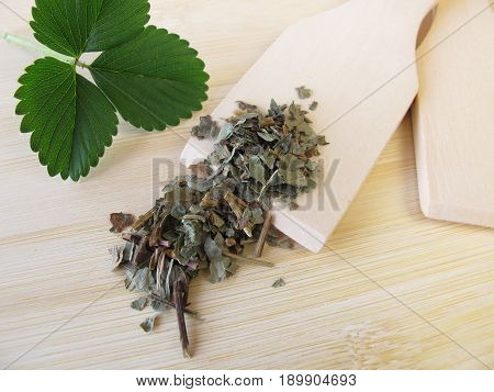 Wild strawberry leaves, Fragariae folium, for herbal medicine