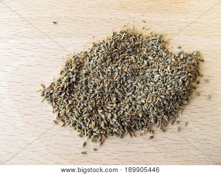 Bisnaga fruits, Ammeos visnagae fructus, for herbal medicine